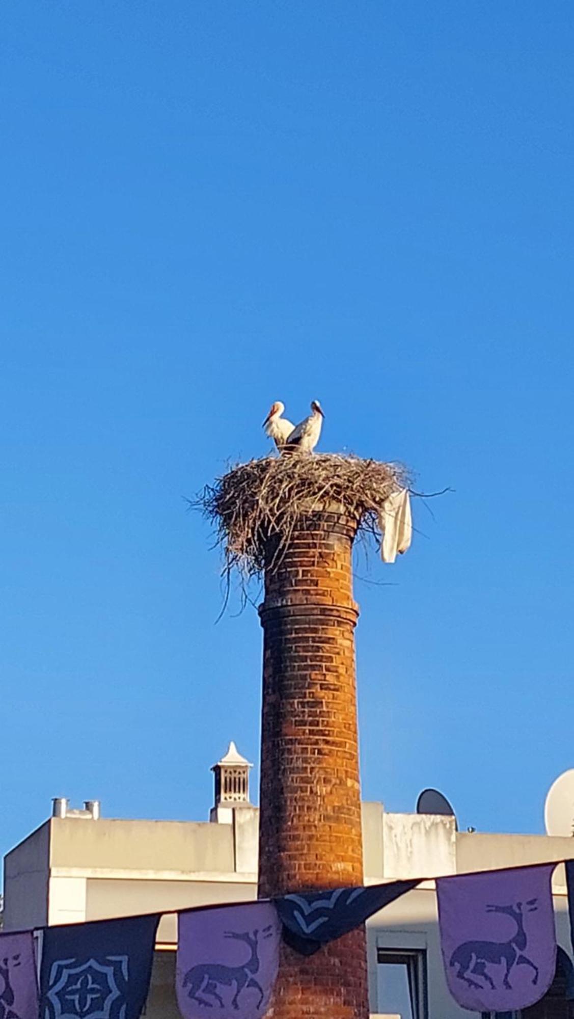 "Oliveiras" Appartement Typique Avec Terrasse Et Piscine Loulé Buitenkant foto