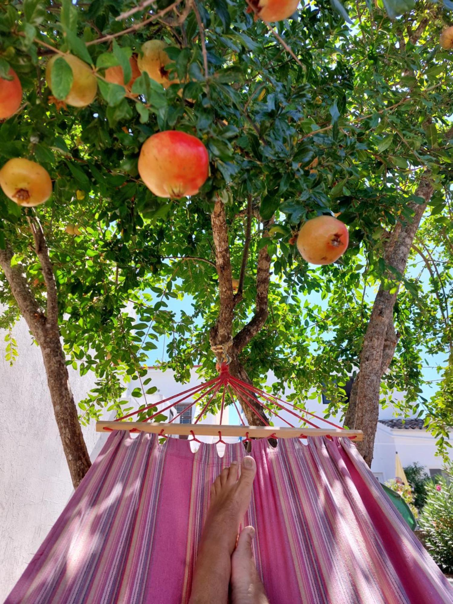"Oliveiras" Appartement Typique Avec Terrasse Et Piscine Loulé Buitenkant foto