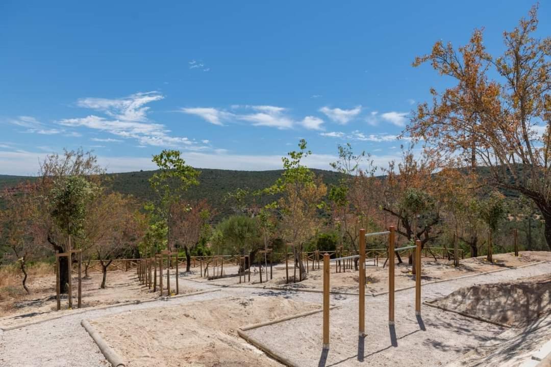 "Oliveiras" Appartement Typique Avec Terrasse Et Piscine Loulé Buitenkant foto